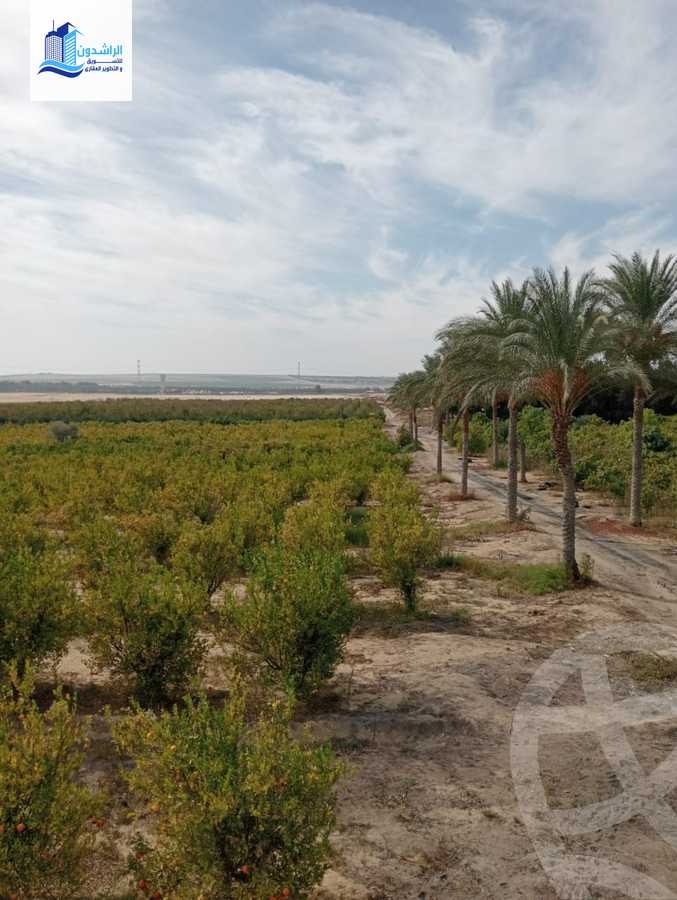 https://aqarmap.com.eg/ar/listing/3873788-for-sale-cairo-alex-cairo-desert-road-mzr-dyn