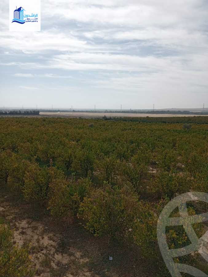 https://aqarmap.com.eg/ar/listing/3873788-for-sale-cairo-alex-cairo-desert-road-mzr-dyn