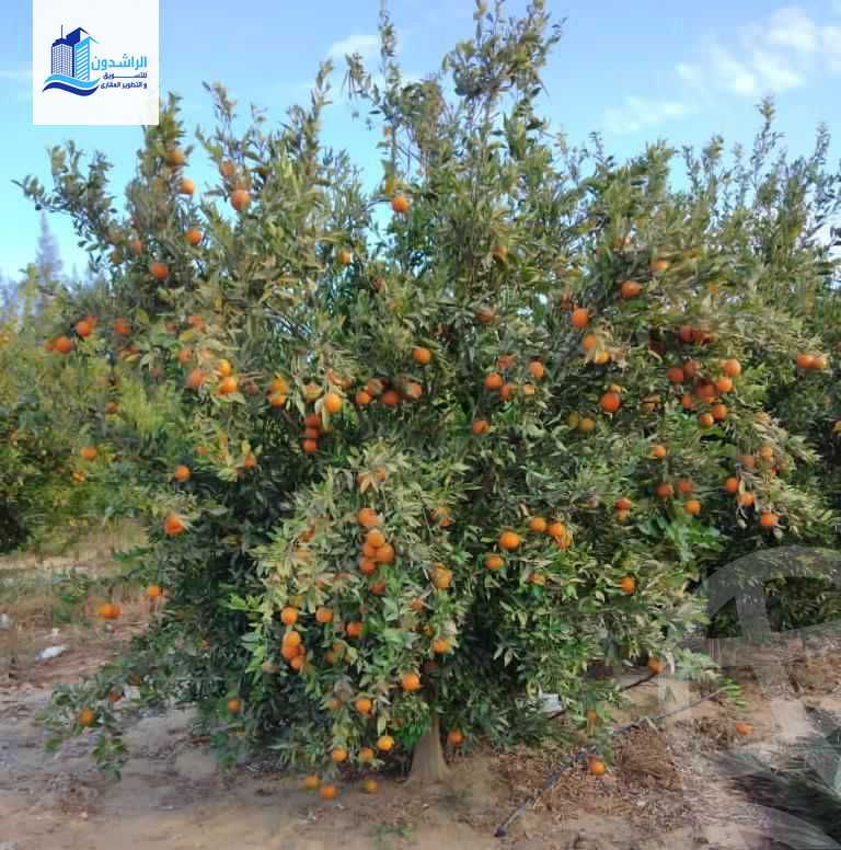 https://aqarmap.com.eg/ar/listing/3873788-for-sale-cairo-alex-cairo-desert-road-mzr-dyn
