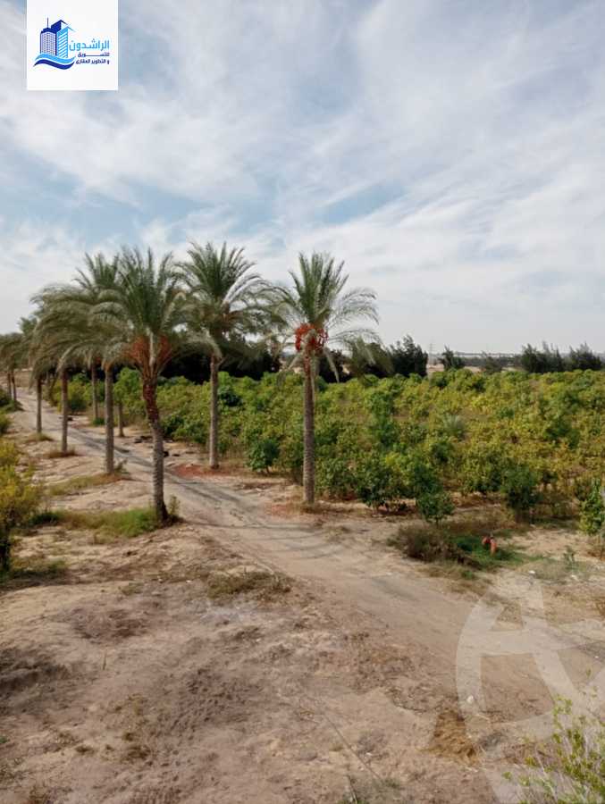 https://aqarmap.com.eg/ar/listing/3873788-for-sale-cairo-alex-cairo-desert-road-mzr-dyn