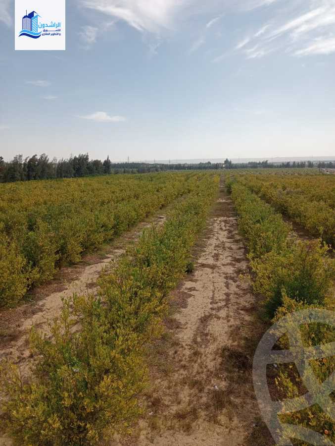 https://aqarmap.com.eg/ar/listing/3873788-for-sale-cairo-alex-cairo-desert-road-mzr-dyn