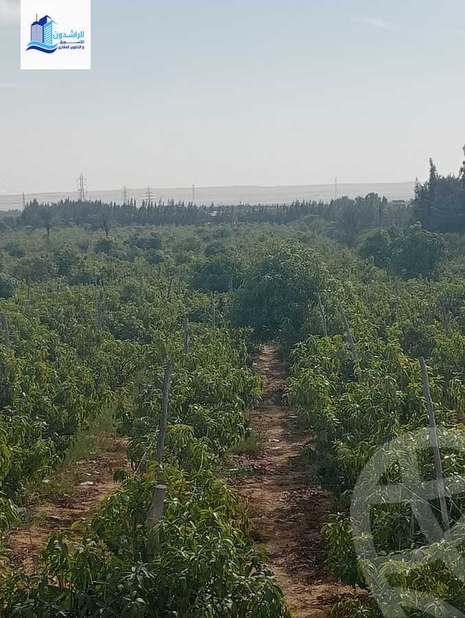 https://aqarmap.com.eg/ar/listing/3873788-for-sale-cairo-alex-cairo-desert-road-mzr-dyn