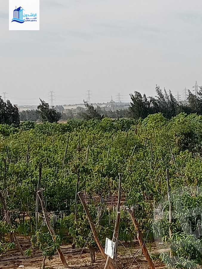 https://aqarmap.com.eg/ar/listing/3873788-for-sale-cairo-alex-cairo-desert-road-mzr-dyn