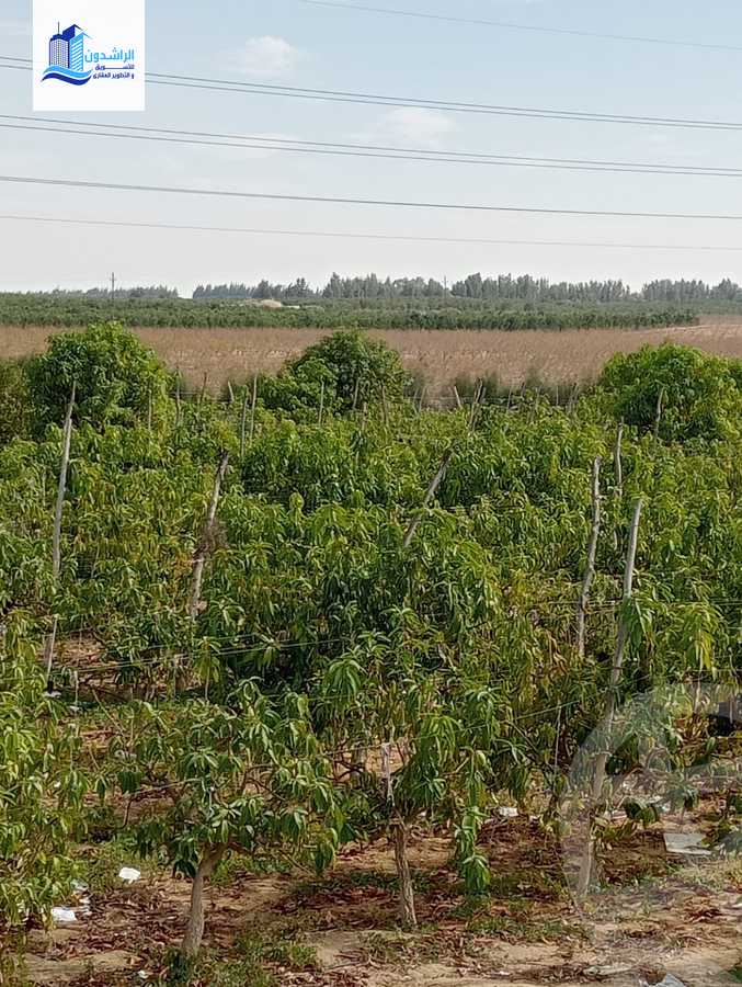 https://aqarmap.com.eg/ar/listing/3873788-for-sale-cairo-alex-cairo-desert-road-mzr-dyn