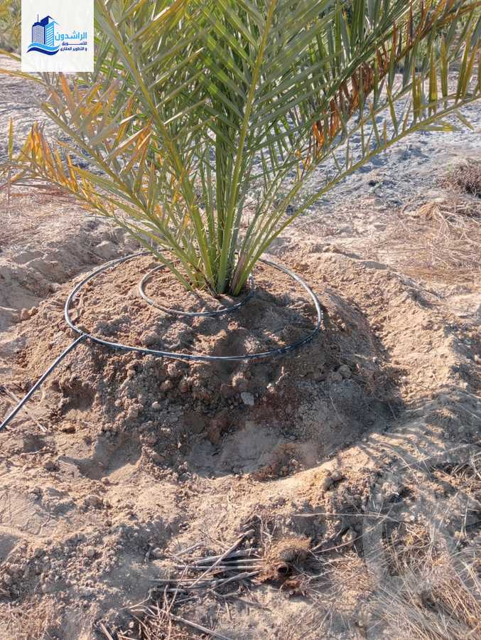 https://aqarmap.com.eg/ar/listing/3873788-for-sale-cairo-alex-cairo-desert-road-mzr-dyn