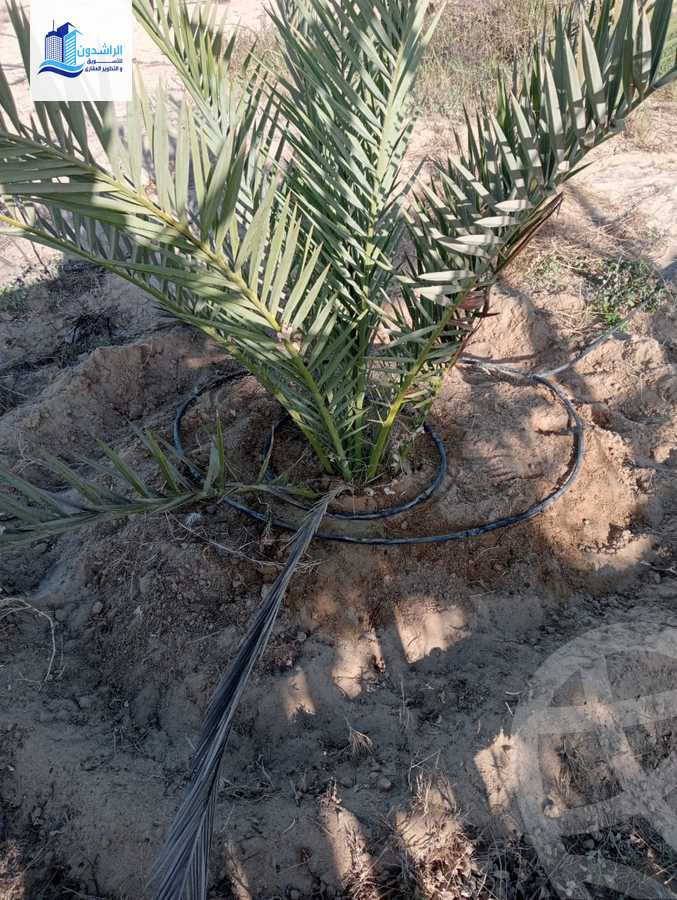 https://aqarmap.com.eg/ar/listing/3873788-for-sale-cairo-alex-cairo-desert-road-mzr-dyn