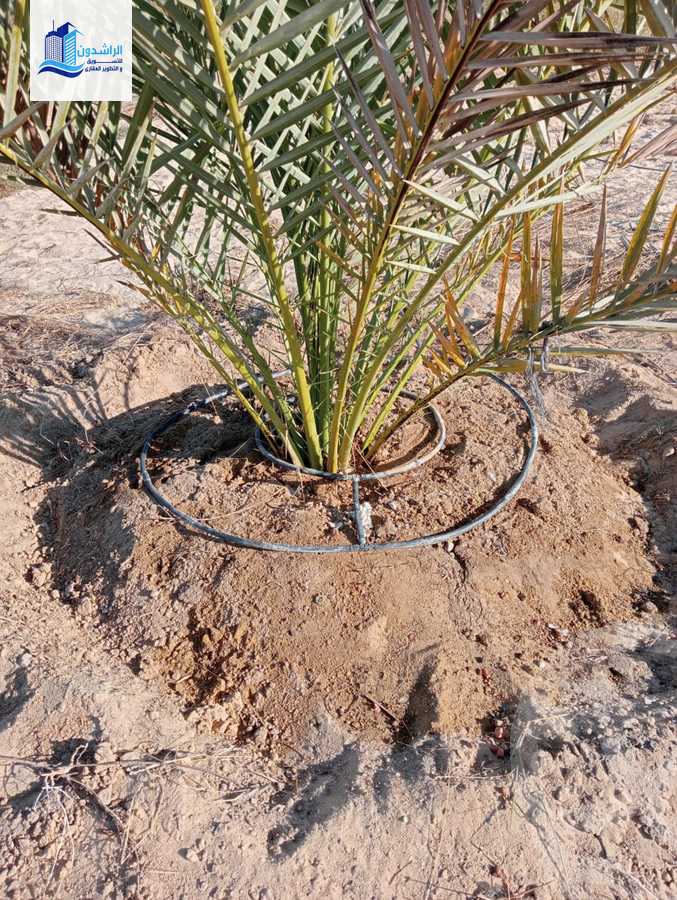 https://aqarmap.com.eg/ar/listing/3883537-for-sale-cairo-alex-cairo-desert-road-mntq-fr-y-btryq-skndryh-lshrwy
