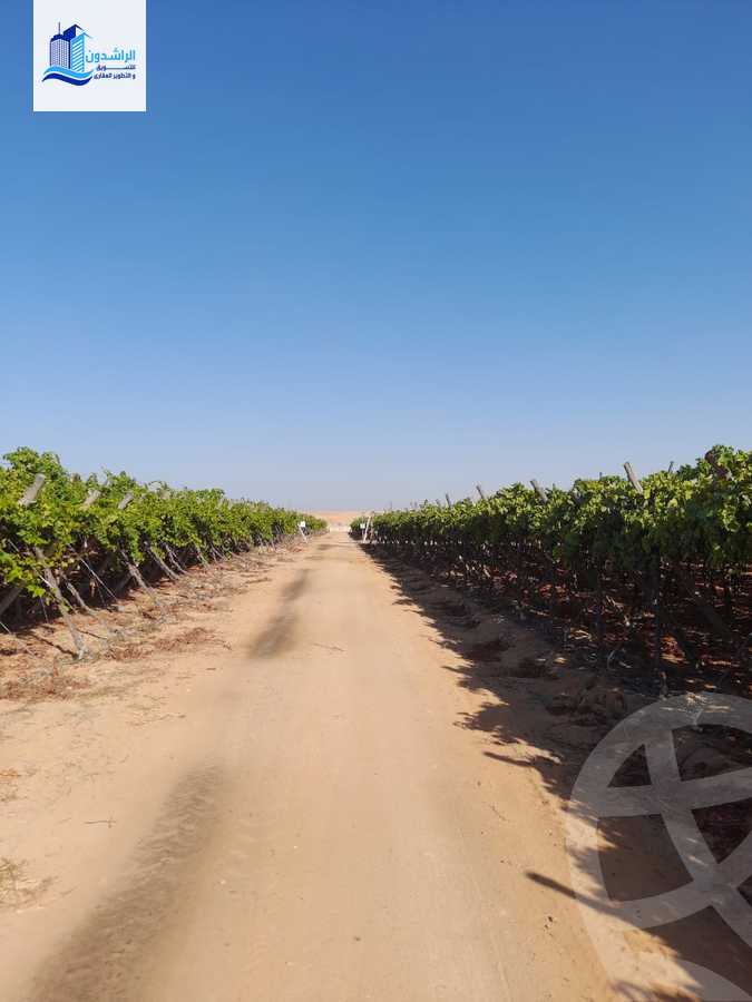 https://aqarmap.com.eg/en/listing/4604335-for-sale-cairo-alex-cairo-desert-road-mntq-fr-y-btryq-skndryh-lshrwy