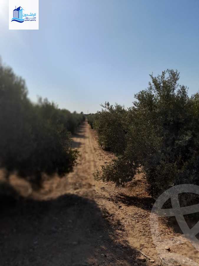 https://aqarmap.com.eg/en/listing/4604335-for-sale-cairo-alex-cairo-desert-road-mntq-fr-y-btryq-skndryh-lshrwy