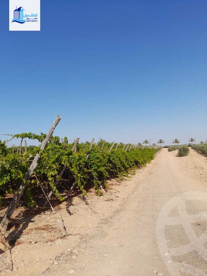 https://aqarmap.com.eg/en/listing/4604335-for-sale-cairo-alex-cairo-desert-road-mntq-fr-y-btryq-skndryh-lshrwy