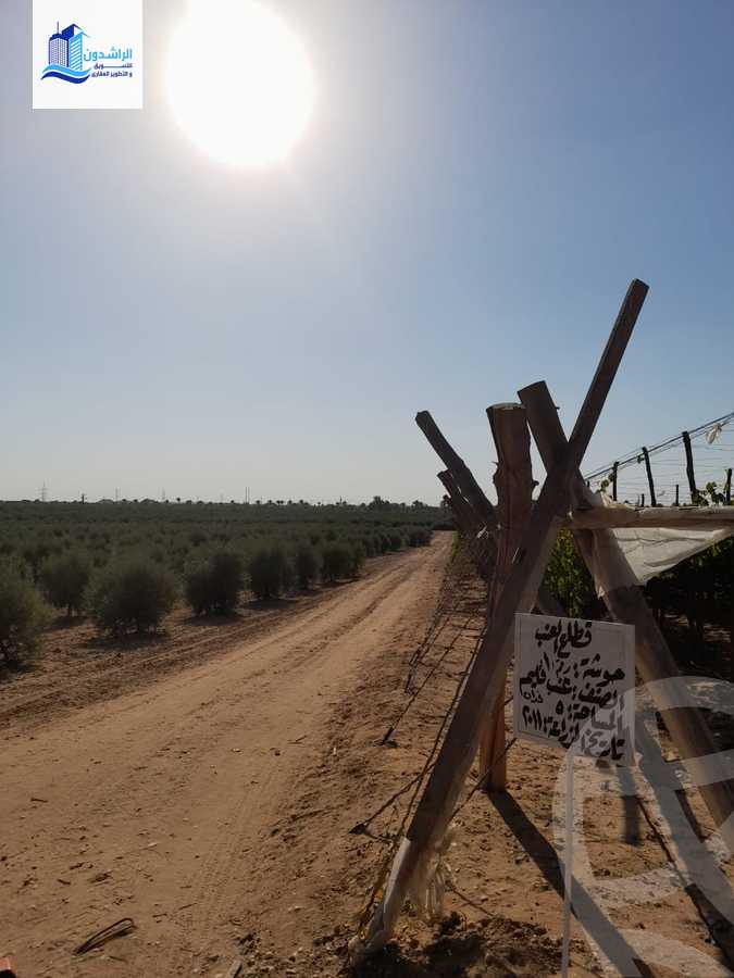 https://aqarmap.com.eg/en/listing/4604335-for-sale-cairo-alex-cairo-desert-road-mntq-fr-y-btryq-skndryh-lshrwy