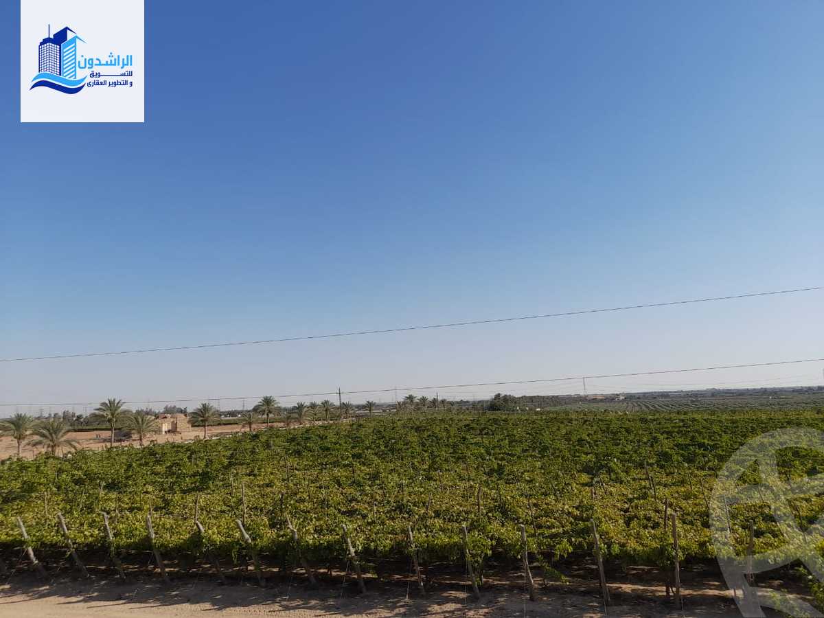 https://aqarmap.com.eg/en/listing/4604335-for-sale-cairo-alex-cairo-desert-road-mntq-fr-y-btryq-skndryh-lshrwy
