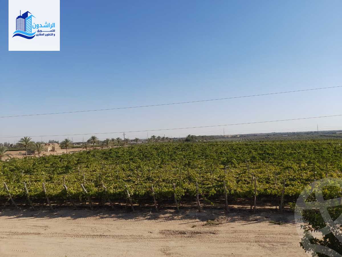 https://aqarmap.com.eg/en/listing/4604335-for-sale-cairo-alex-cairo-desert-road-mntq-fr-y-btryq-skndryh-lshrwy