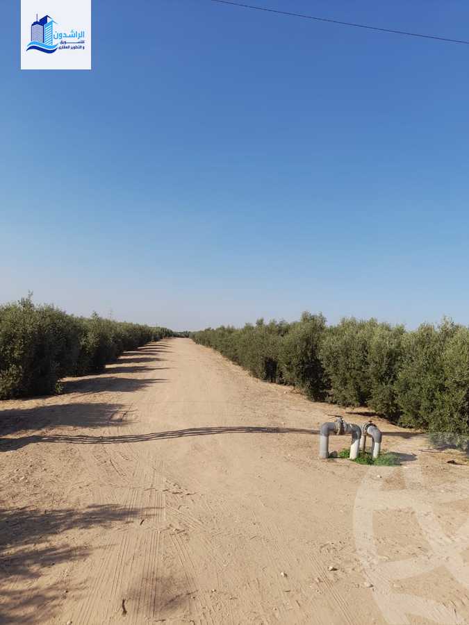 https://aqarmap.com.eg/ar/listing/4722294-for-sale-alexandria-cairo-alexandria-desert-road