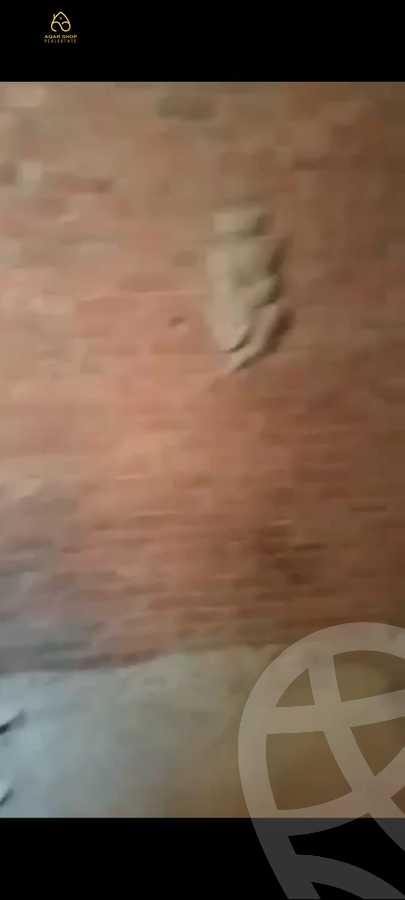 https://aqarmap.com.eg/en/listing/4028518-for-sale-cairo-new-cairo-north-investors-el-shaheed-ismail-al-faki-st