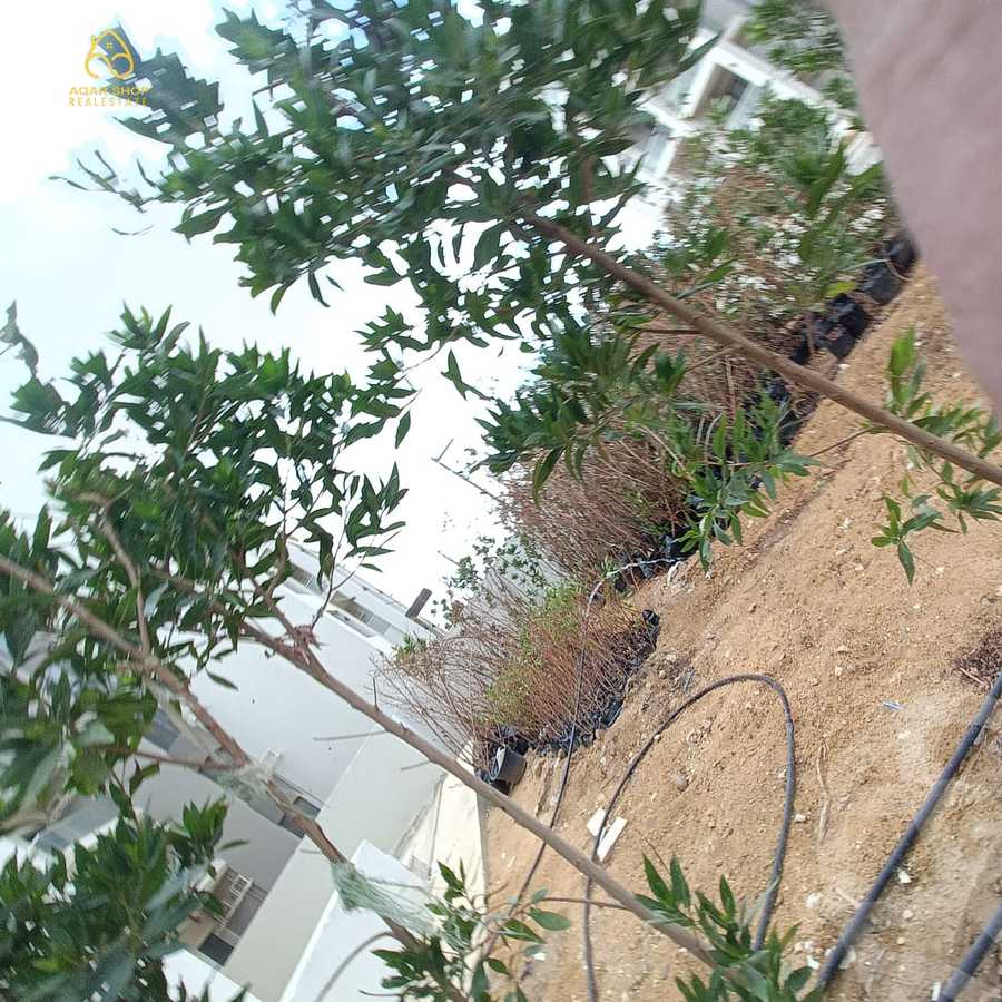 https://aqarmap.com.eg/en/listing/4061586-for-rent-cairo-new-cairo-compounds-the-address-east