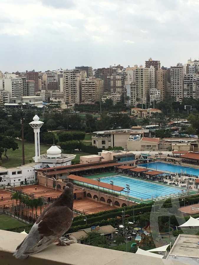 https://aqarmap.com.eg/ar/listing/6028824-for-sale-alexandria-sporting-shr-bwr-s-yd