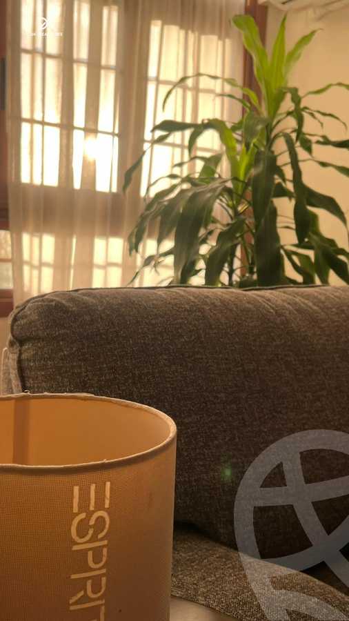 https://aqarmap.com.eg/ar/listing/6191150-for-sale-alexandria-smouha-al-safa-st