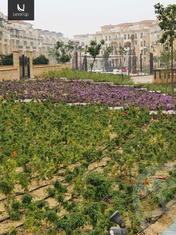 https://aqarmap.com.eg/ar/listing/5329818-for-sale-cairo-new-cairo-compounds-stwn-ryzydns-by-ar-y-llttwyr