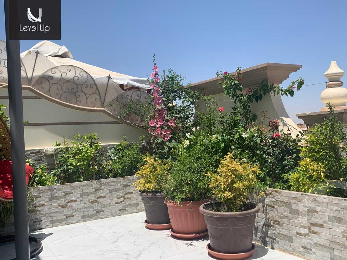 https://aqarmap.com.eg/en/listing/5443107-for-sale-cairo-new-cairo-el-narges-el-narges-1-abd-el-kader-mokhtar-st