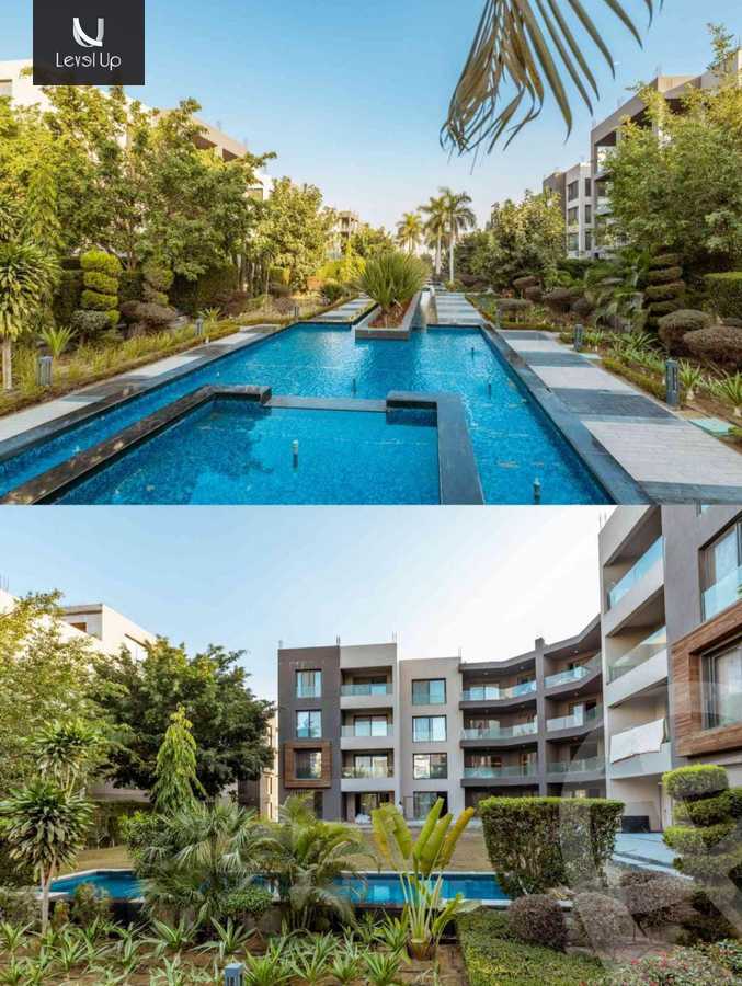 https://aqarmap.com.eg/en/listing/5944681-for-rent-cairo-new-cairo-compounds-silver-palm