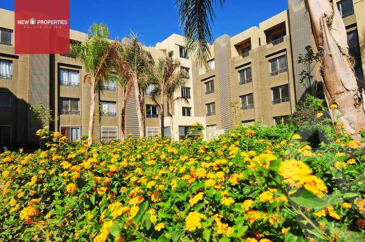https://aqarmap.com.eg/en/listing/6092913-for-rent-cairo-6th-of-october-compounds-palm-parks