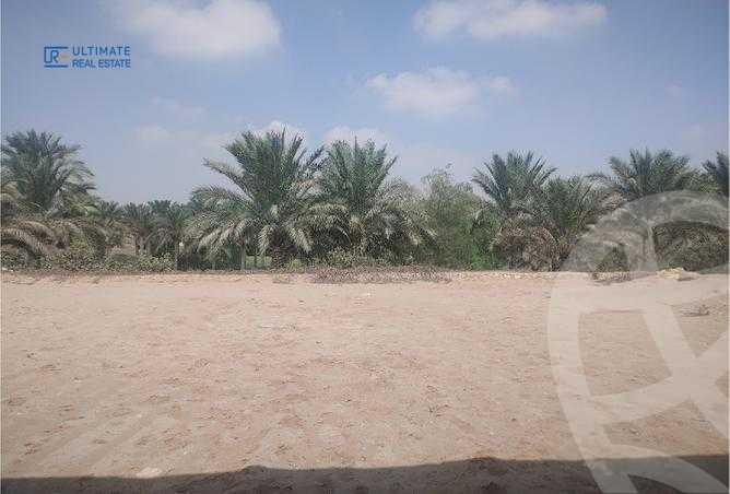 https://aqarmap.com.eg/ar/listing/3666837-for-sale-cairo-new-cairo-compounds-kattameya-dunes