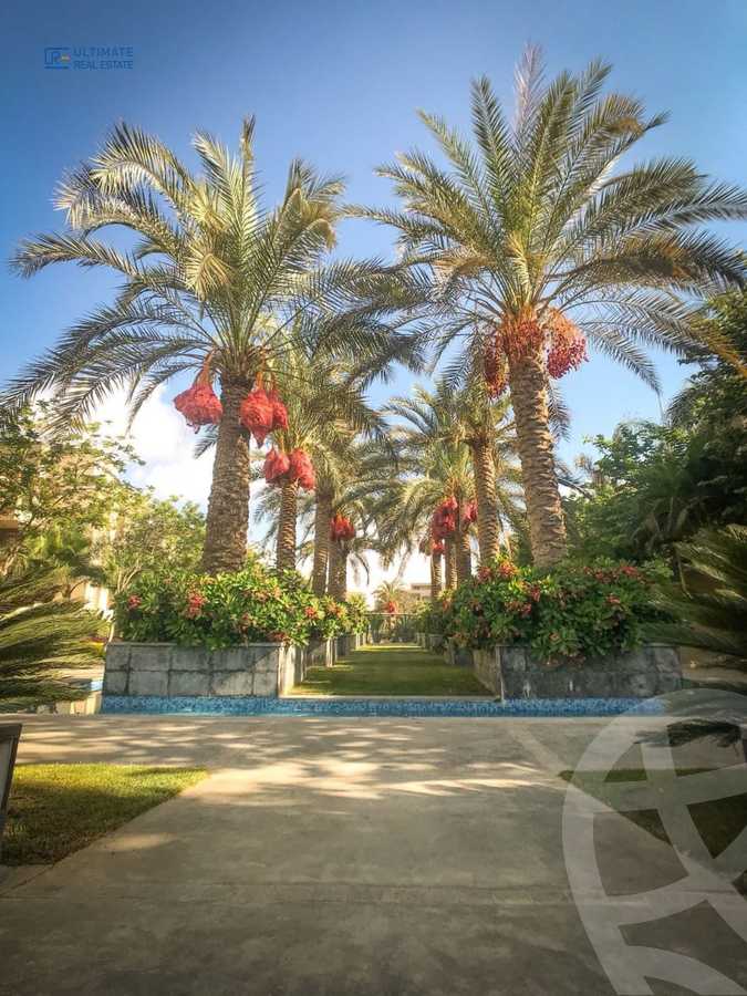 https://aqarmap.com.eg/en/listing/4203399-for-sale-cairo-new-cairo-compounds-park-view