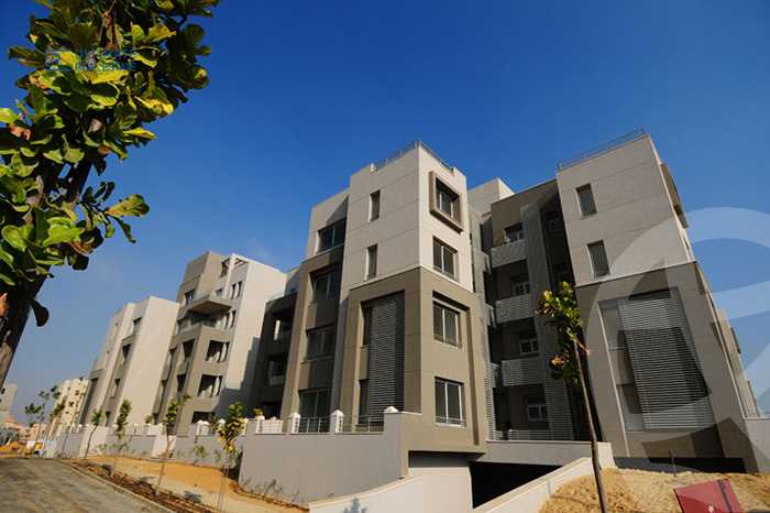 https://aqarmap.com.eg/ar/listing/4249216-for-rent-cairo-new-cairo-compounds-kmbwnd-fyldj-jyt-blm-hylz