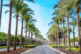 https://aqarmap.com.eg/ar/listing/5614024-for-sale-cairo-new-cairo-compounds-cairo-festival-city-cairo-festival-city-mall-cfc-mall