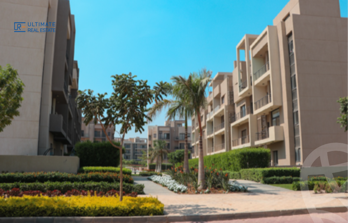 https://aqarmap.com.eg/en/listing/6003222-for-rent-cairo-new-cairo-compounds-mwn-ryzydns-lmrsm-llttwyr
