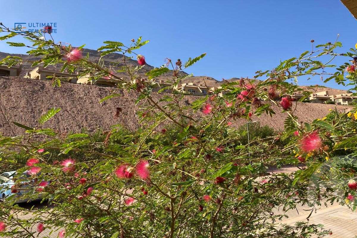 https://aqarmap.com.eg/en/listing/6300123-for-sale-ain-elsokhna-resorts-telal-el-sokhna