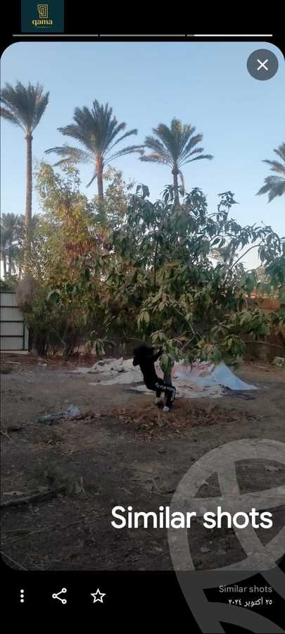 https://aqarmap.com.eg/ar/listing/6250163-for-sale-cairo-ljyz-bw-lnmrs-shabramant