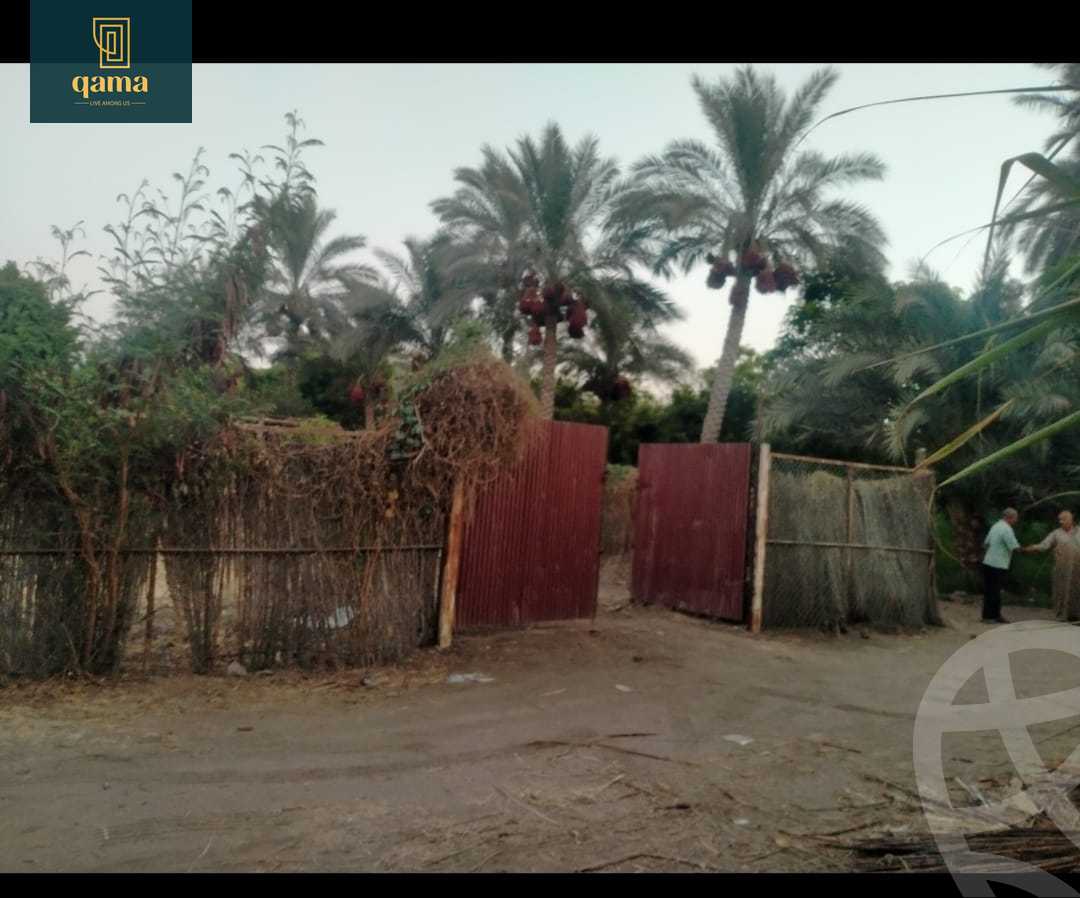 https://aqarmap.com.eg/ar/listing/6250163-for-sale-cairo-ljyz-bw-lnmrs-shabramant