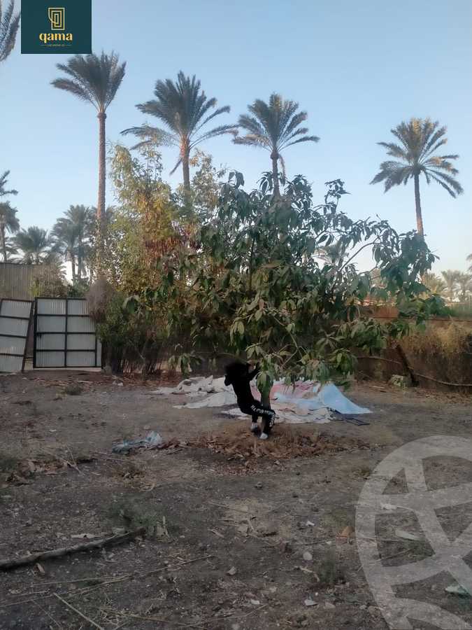 https://aqarmap.com.eg/ar/listing/6250163-for-sale-cairo-ljyz-bw-lnmrs-shabramant