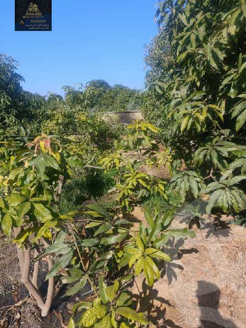 https://aqarmap.com.eg/en/listing/5833400-for-sale-ismailia-fayed-fayad-al-gadida-st