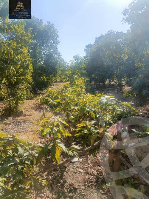 https://aqarmap.com.eg/en/listing/5833400-for-sale-ismailia-fayed-fayad-al-gadida-st