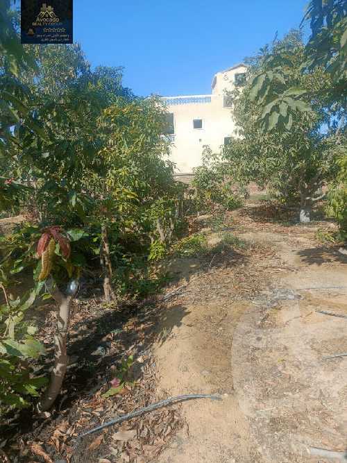 https://aqarmap.com.eg/en/listing/5833400-for-sale-ismailia-fayed-fayad-al-gadida-st