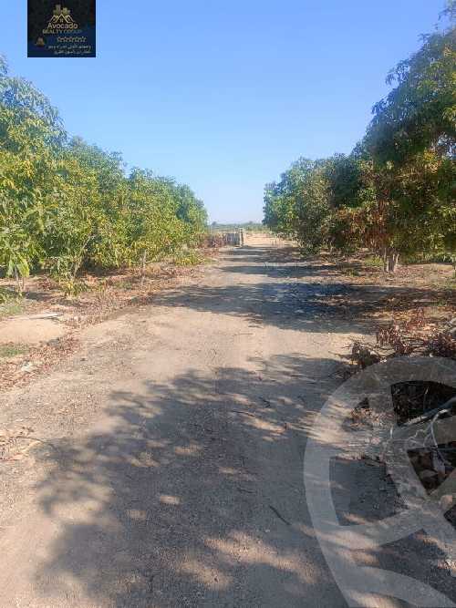 https://aqarmap.com.eg/en/listing/5833400-for-sale-ismailia-fayed-fayad-al-gadida-st