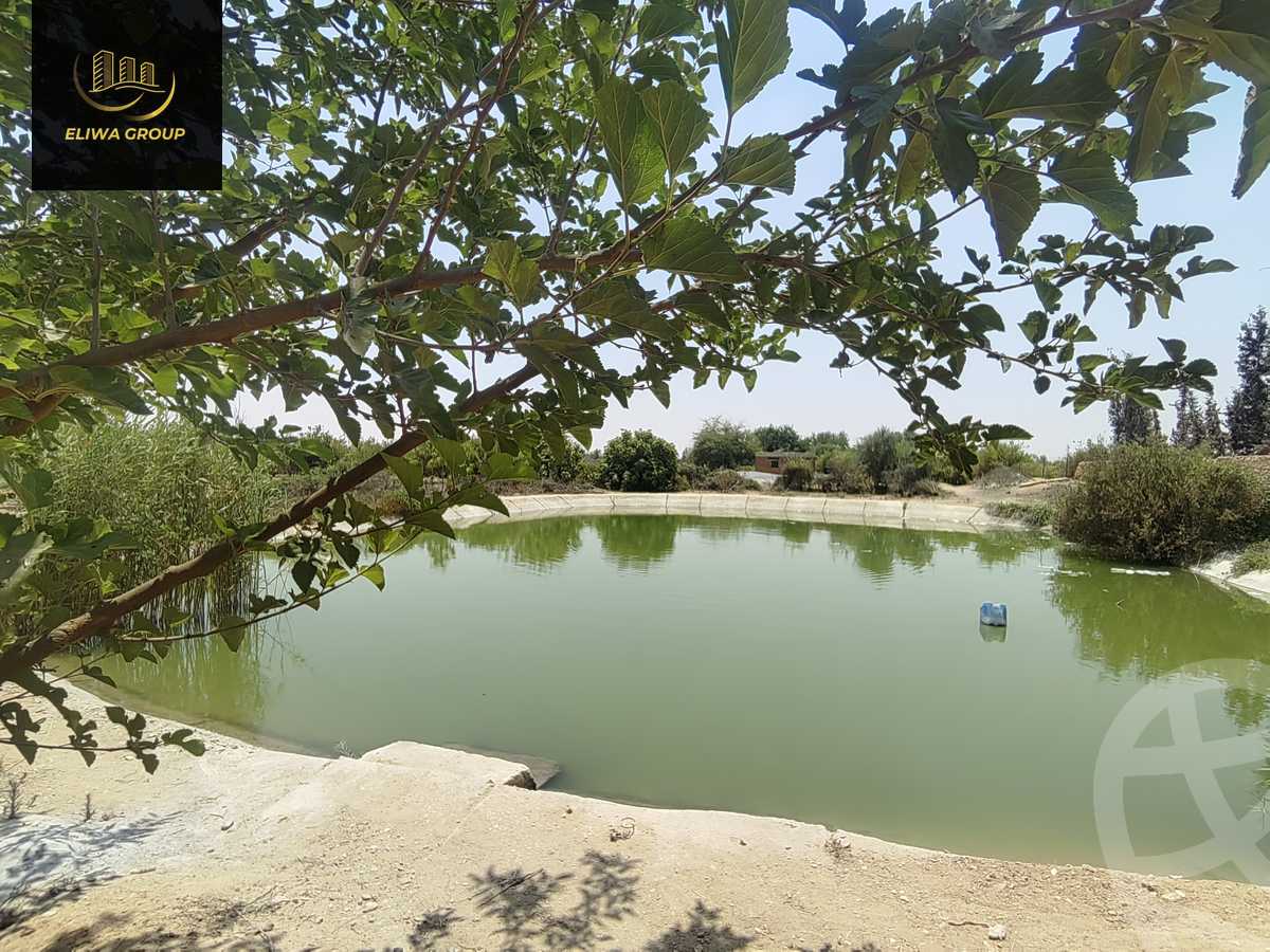 https://aqarmap.com.eg/en/listing/6022741-for-sale-sharqia-bilbeis-el-adlya