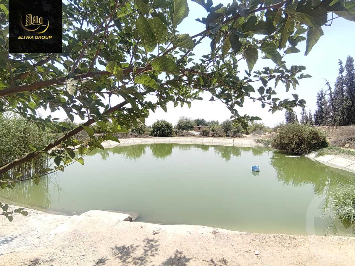 https://aqarmap.com.eg/en/listing/6022741-for-sale-sharqia-bilbeis-el-adlya