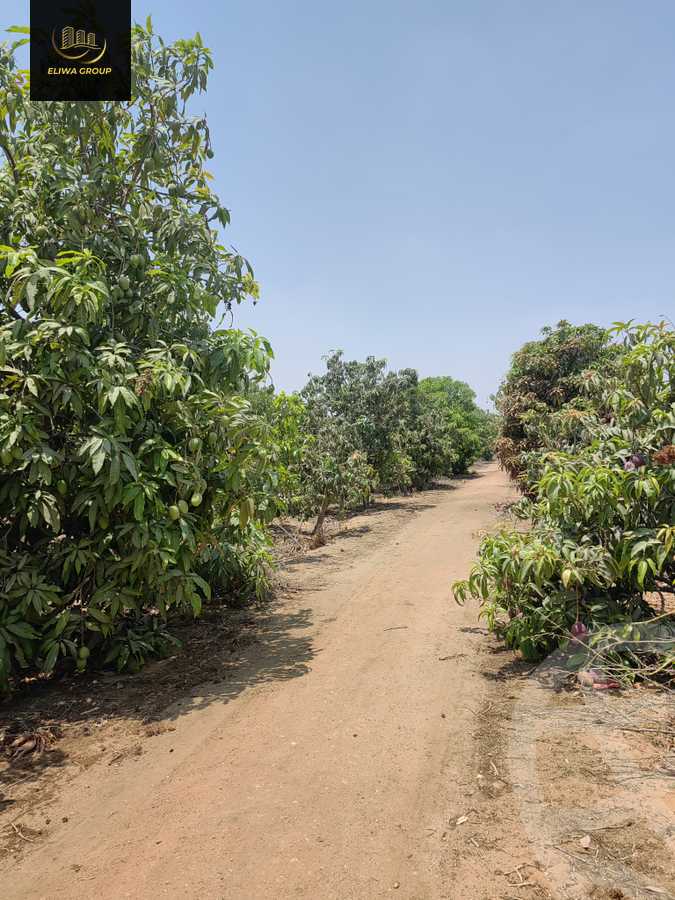 https://aqarmap.com.eg/en/listing/6022741-for-sale-sharqia-bilbeis-el-adlya