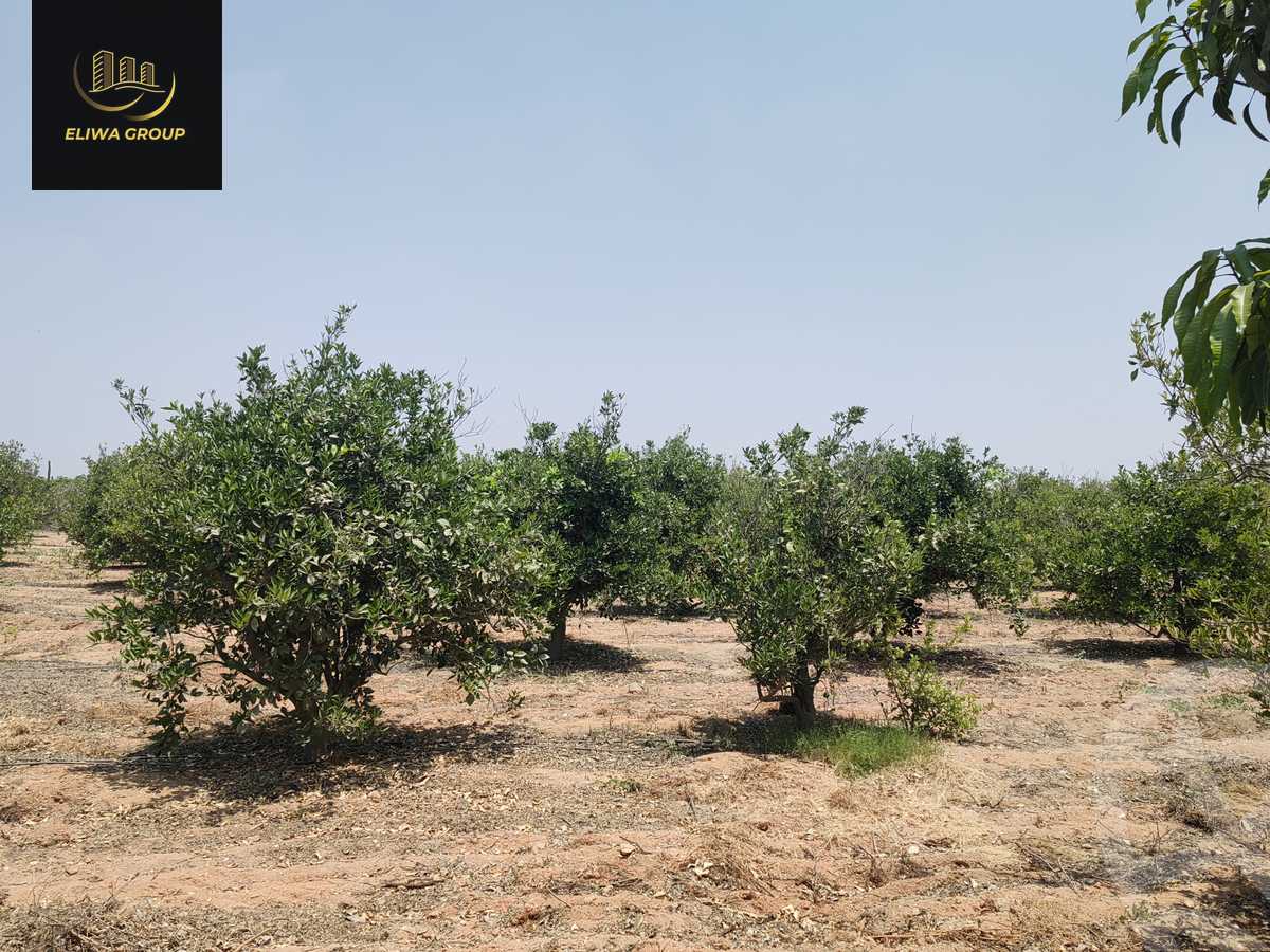 https://aqarmap.com.eg/en/listing/6022741-for-sale-sharqia-bilbeis-el-adlya