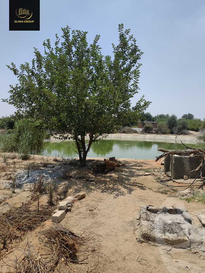 https://aqarmap.com.eg/en/listing/6022741-for-sale-sharqia-bilbeis-el-adlya