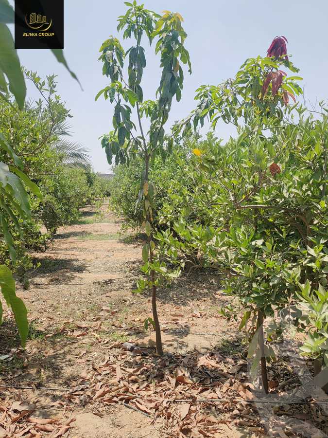 https://aqarmap.com.eg/en/listing/6022741-for-sale-sharqia-bilbeis-el-adlya