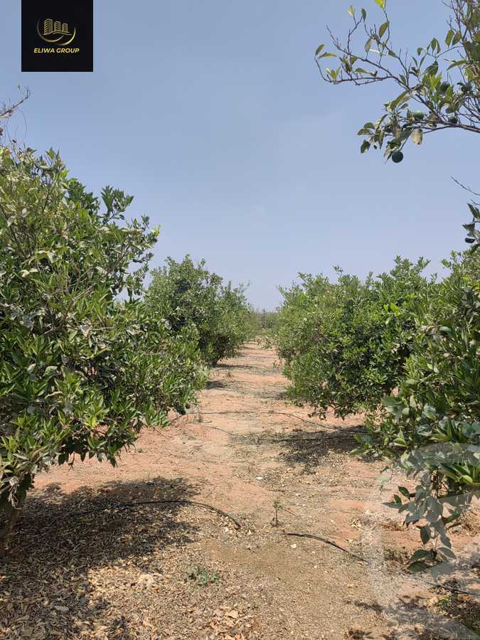 https://aqarmap.com.eg/en/listing/6022741-for-sale-sharqia-bilbeis-el-adlya