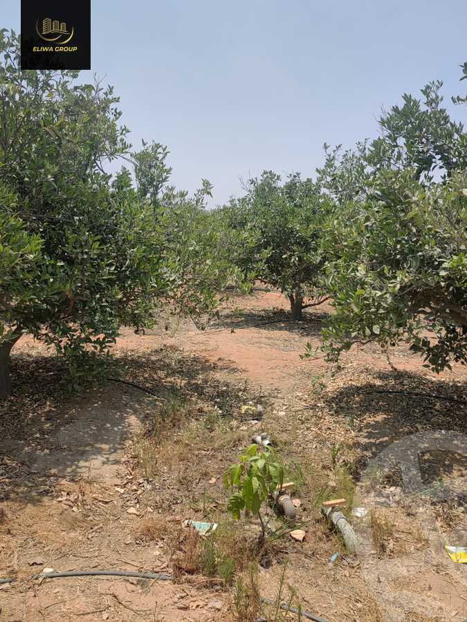 https://aqarmap.com.eg/en/listing/6022741-for-sale-sharqia-bilbeis-el-adlya