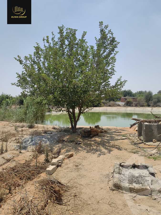https://aqarmap.com.eg/en/listing/6022741-for-sale-sharqia-bilbeis-el-adlya