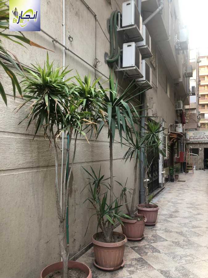 https://aqarmap.com.eg/en/listing/6591591-for-rent-cairo-el-mohandesen-shareaa-ahmed-orabi
